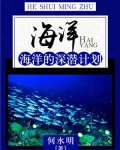 海洋:海洋的深潜计划