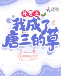 斗罗大陆之我成了唐三
