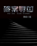 破案寻凶