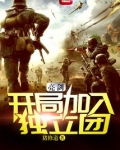 亮剑:开局加入独立团